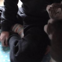 前足で足をタッチ