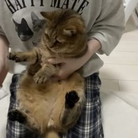 不服そうな顔のみにらくん