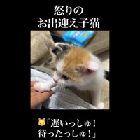 タッチ
