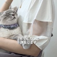 飼い主さんに抱っこ紐で抱っこされるシャムトラ猫