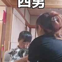 女性に連れて行かれる猫