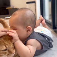 顔をくっつける赤ちゃん