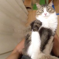 仰向けのアップ