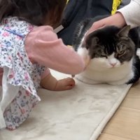 タッチされるうま次郎くん