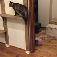 登った後ろ姿