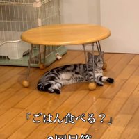 もう一度声をかけるパパ