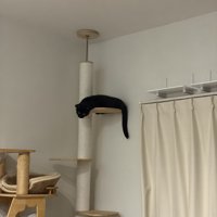 キャットタワーを遠くから見た様子