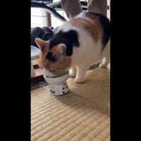 食べる姿