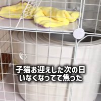トイレのアップ