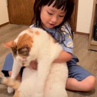 猫を抱っこしようとする女の子