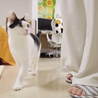 足元にいるホルンくん