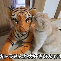 テロップ「じゅん坊～」