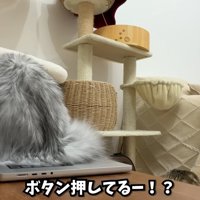 ボタン押してるー！？