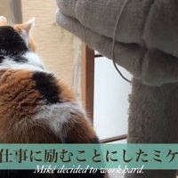 テロップ「仕事に励む～」