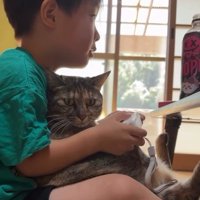ゲームをしている男の子と猫