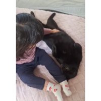 女の子と黒猫