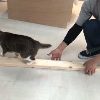 降りて行く姿