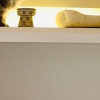 DIYした猫部屋の下部分