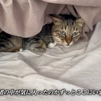 テロップ「布団の中が～」