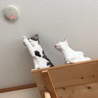 赤く光る火災報知器