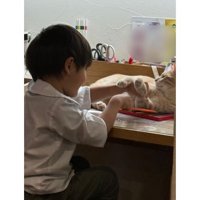 男の子と猫