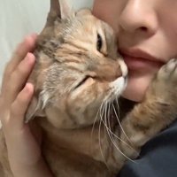 くっついている飼い主と猫