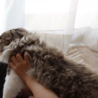 顔の上に