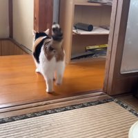 歩いて行く後ろ姿