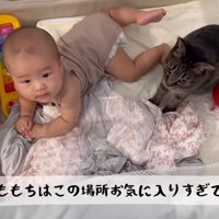 お気に入りすぎて