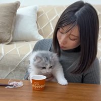 人に抱かれている猫