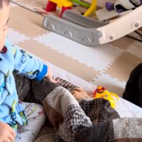 テロップ「くまごろう」