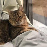 目を細めた表情