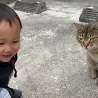男の子と野良猫のツーショット