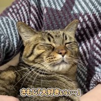 大好きぃぃ…