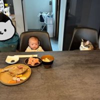 テーブルにいる猫と赤ちゃん