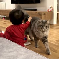 赤ちゃんと猫