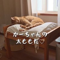 クッションに頭を擦り付ける