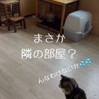 隣の部屋