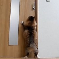 2足立ち