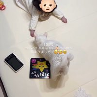 赤ちゃんのそばにやってきた猫