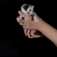 ぱっちりと目を開けたいちえちゃん