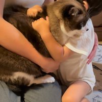 猫を抱きしめる赤ちゃん