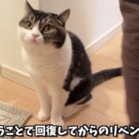 回復からのリベンジ