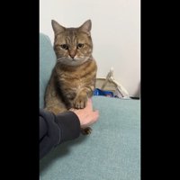 正面を向いてタッチ