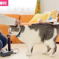 ささみくんをなでなで
