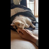額をスリスリ