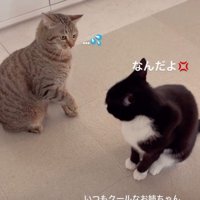 汗マークが描かれた写真