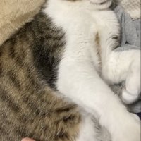 手を抑えるミックくん