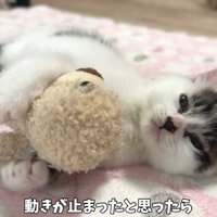 テロップ「動きが止まったと～」