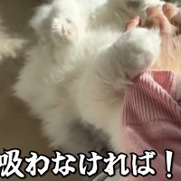 絶対に吸いたいママさん